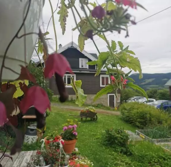 ペンション Eikre Fjellgård