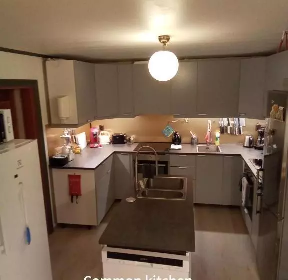 ペンション Eikre Fjellgård