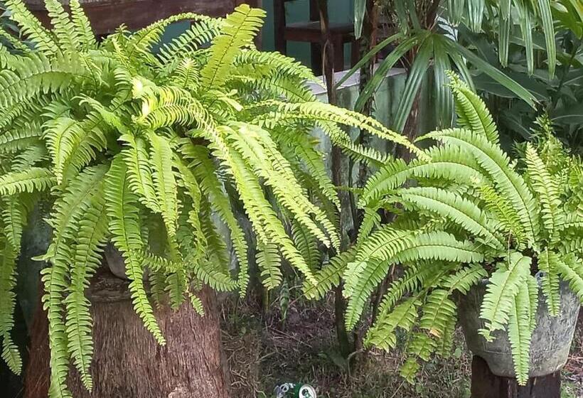 پانسیون Pousada Cajueiro