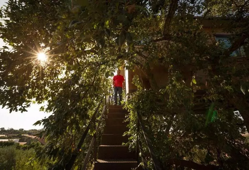 ホテル Encostas Do Côa Ter