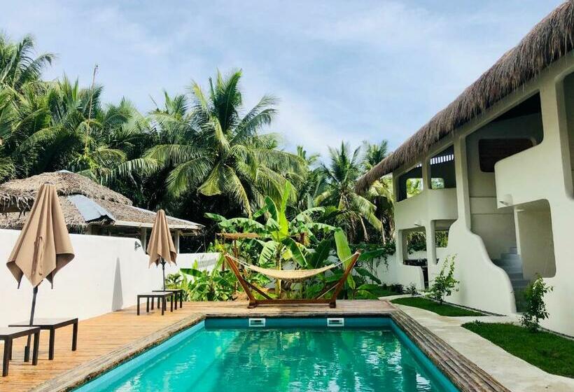 ホテル Parrots Boutique Resort