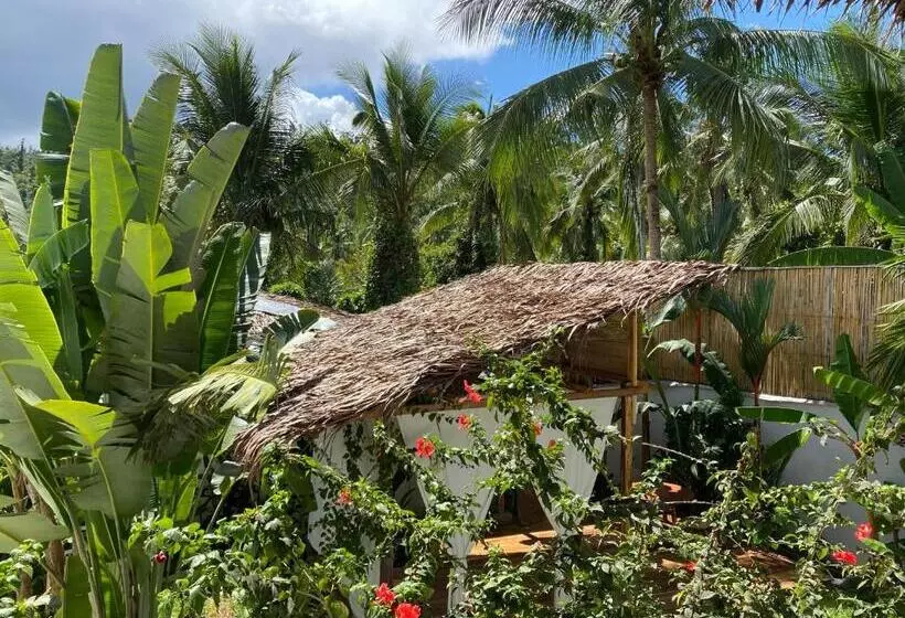 هتل Parrots Boutique Resort