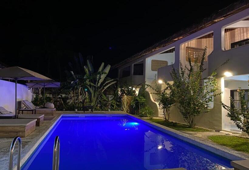 ホテル Parrots Boutique Resort