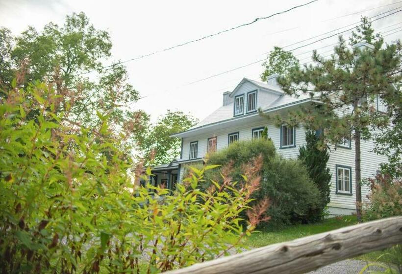 펜션 Le Triangle D été Auberge écoresponsable & Yoga