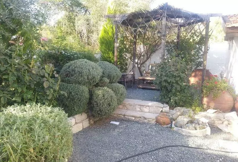 Majatalo The Spidaki