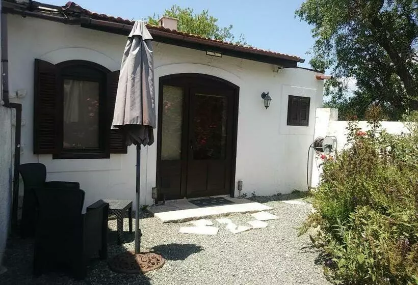 Majatalo The Spidaki