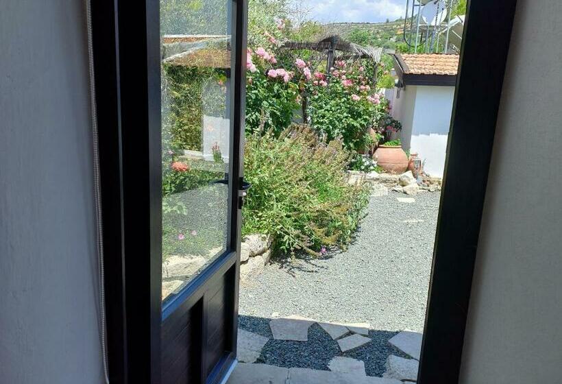 بنسيون The Spidaki