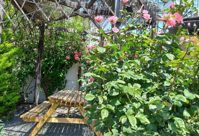 ペンション The Spidaki