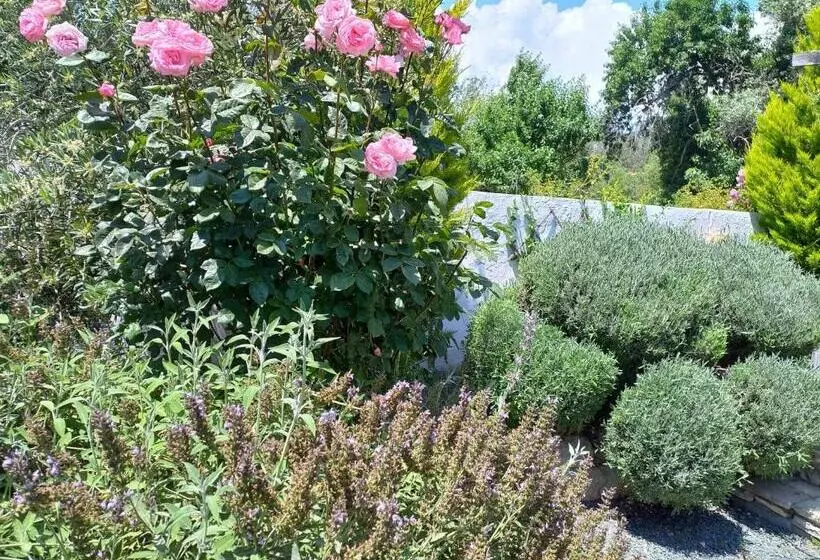 Majatalo The Spidaki