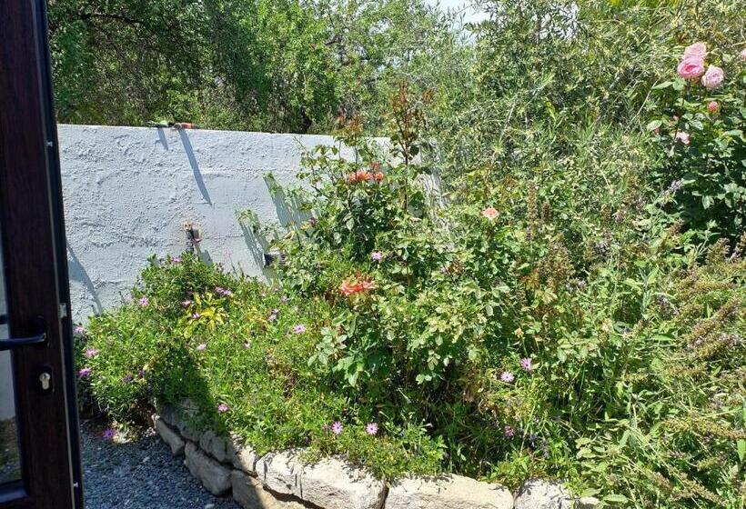 ペンション The Spidaki