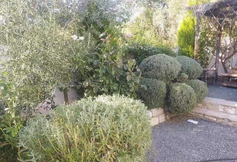 Majatalo The Spidaki