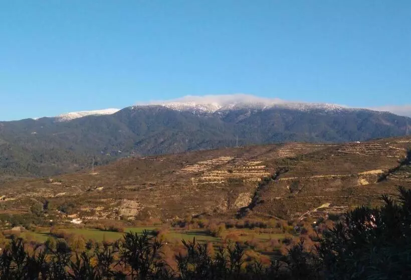 Majatalo The Spidaki