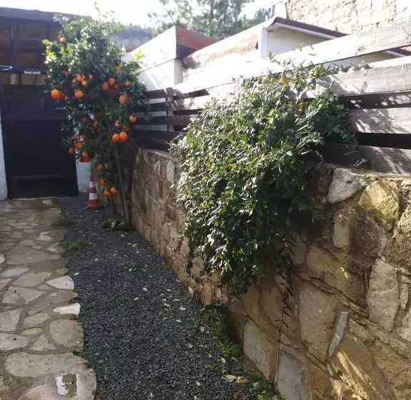 Majatalo The Spidaki