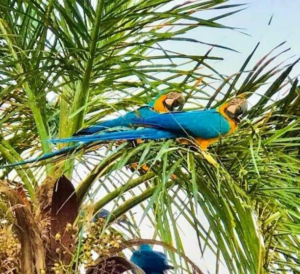 Herberge Associação Sabesp Presidente Epitácio