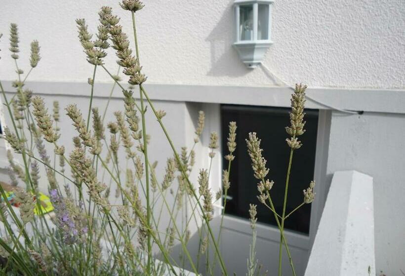 Bed and Breakfast Au Vert A Olivet