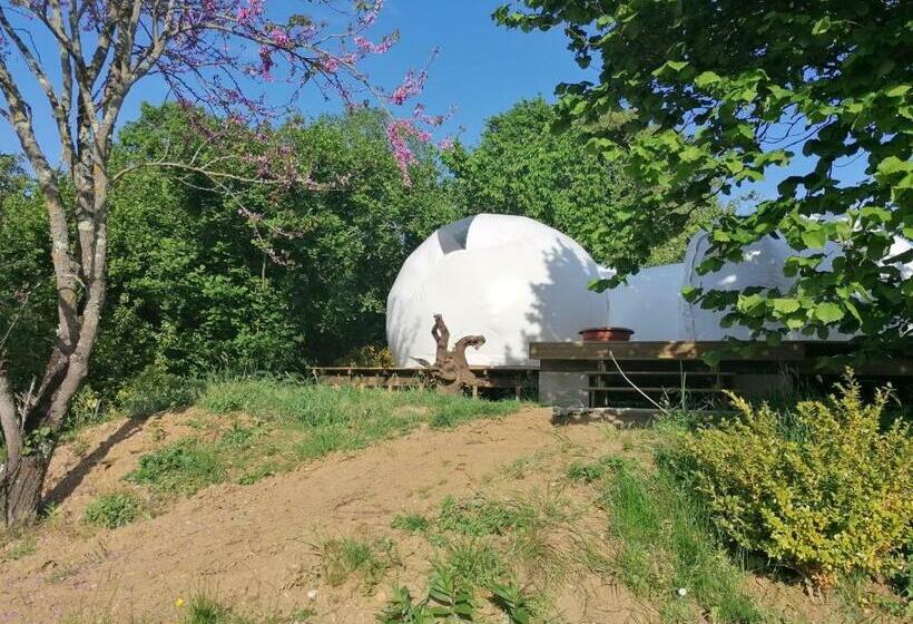 Bed and Breakfast Domaine Quiescis