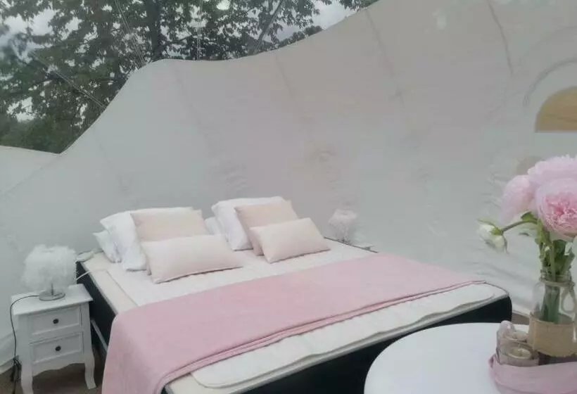 ベッドアンドブレックファースト Domaine Quiescis