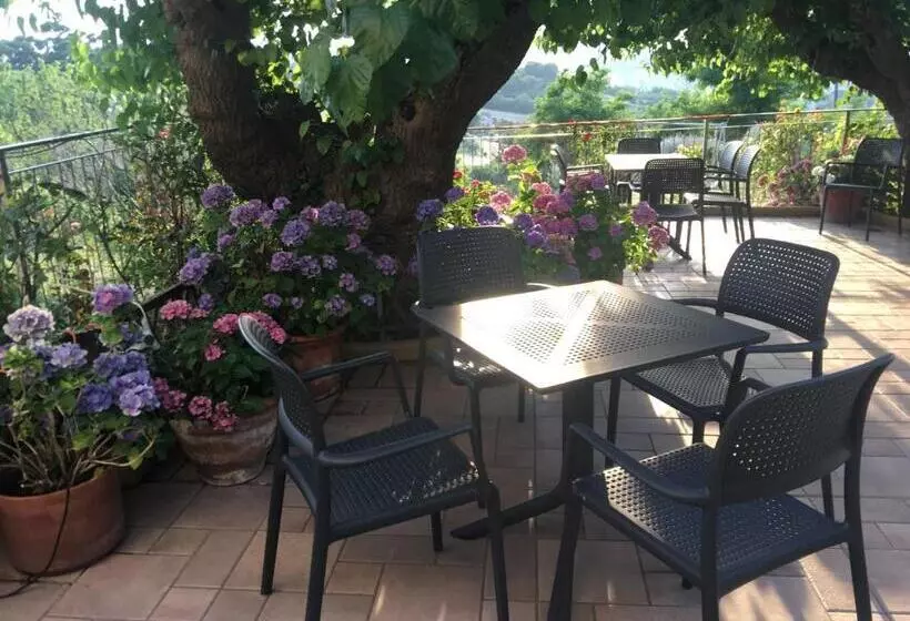 تختخواب و صبحانه La Casa Sul Golfo