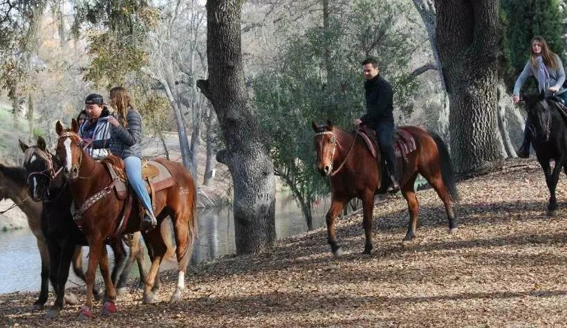 هتل Z Ranch