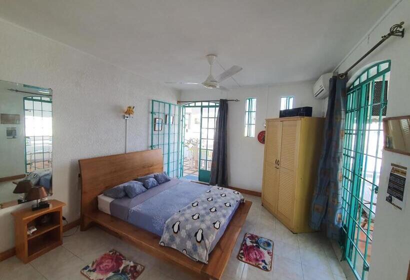 پانسیون Appartement & Studio Lolla