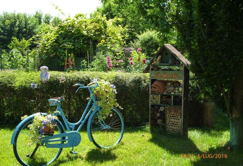 ペンション Bed & Bike Belfiore