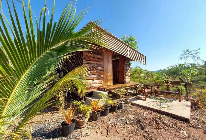 Pensjonat Blue Sky Bungalow