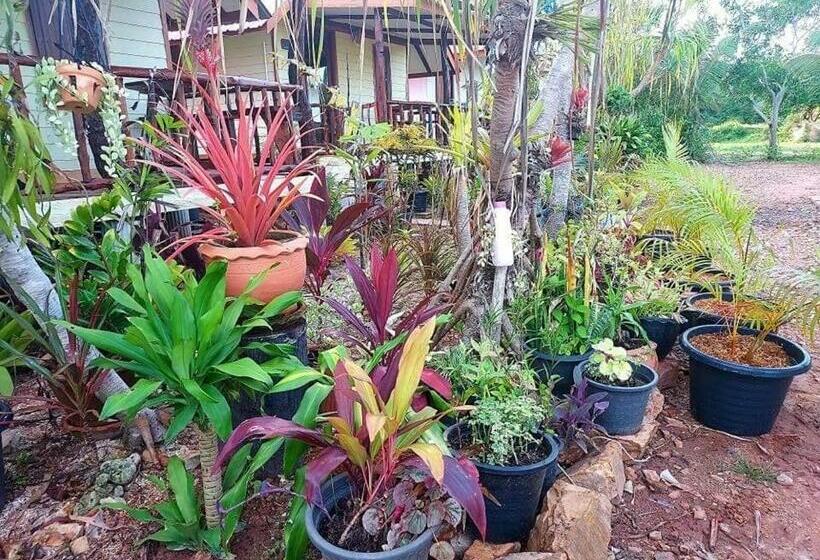 Pensjonat Blue Sky Bungalow