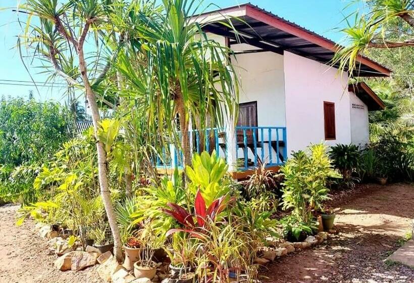 Pensjonat Blue Sky Bungalow