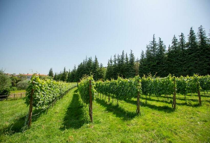 ペンション Casa Do Sobrado