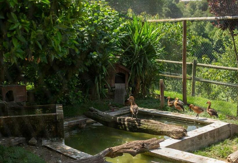 ペンション Casa Do Sobrado