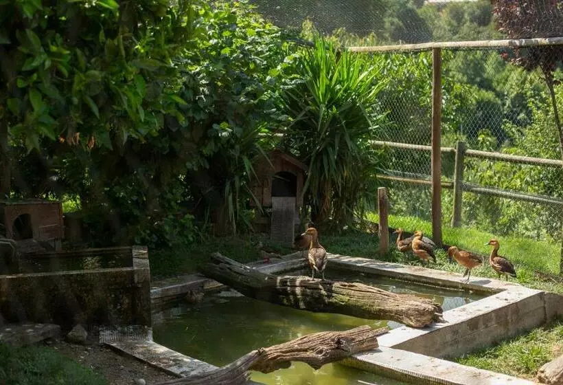 ペンション Casa Do Sobrado