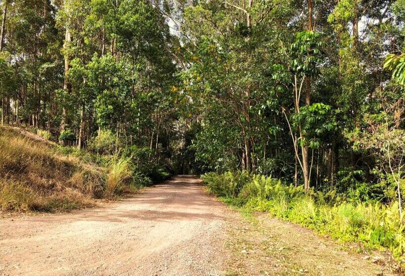膳宿费 Eumundi Cottage In Town