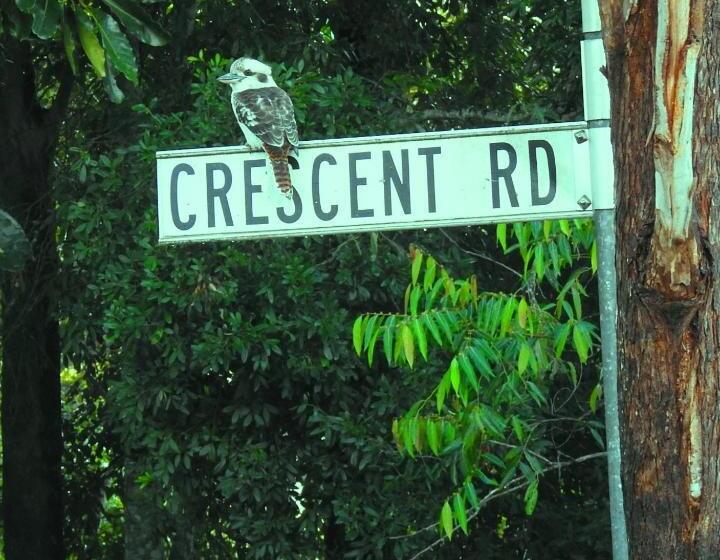 膳宿费 Eumundi Cottage In Town