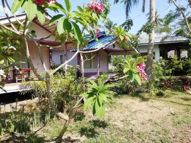 پانسیون Phangan Island