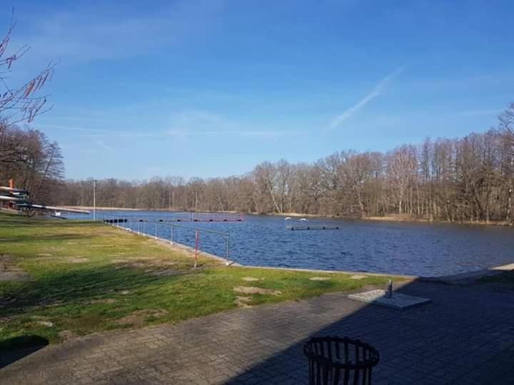 Pension Waldbad Dommitzsch