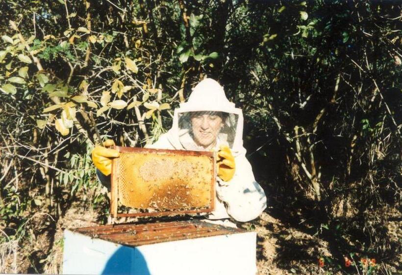 هاستل Pousada Soyndara