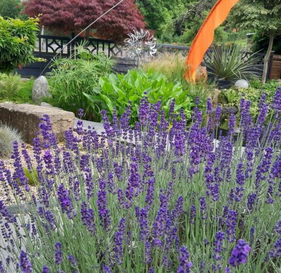 مبيت وإفطار Haus Steffi