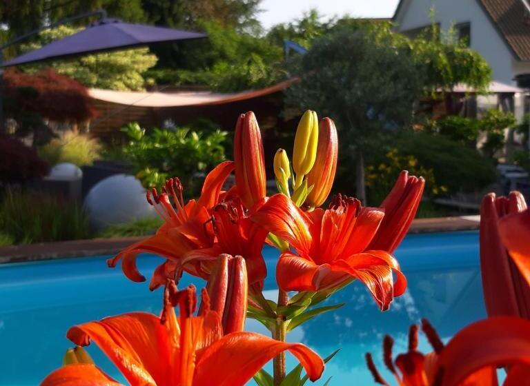 مبيت وإفطار Haus Steffi