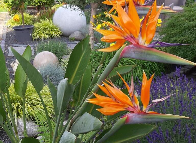 مبيت وإفطار Haus Steffi