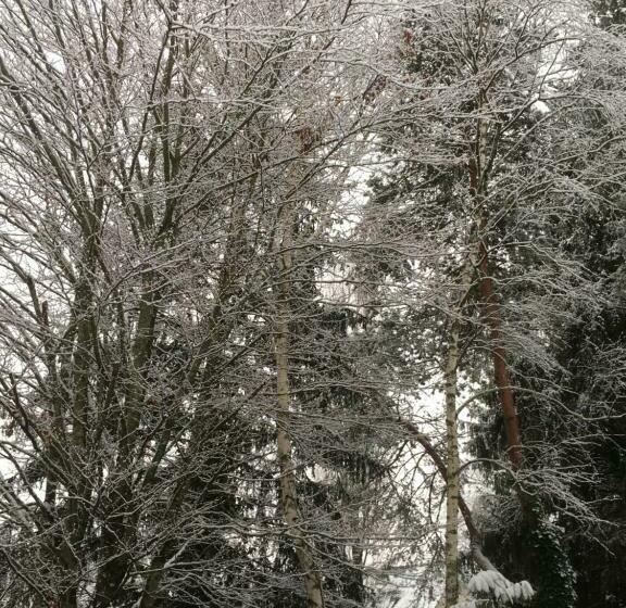 Пансион Maison D’hôtes