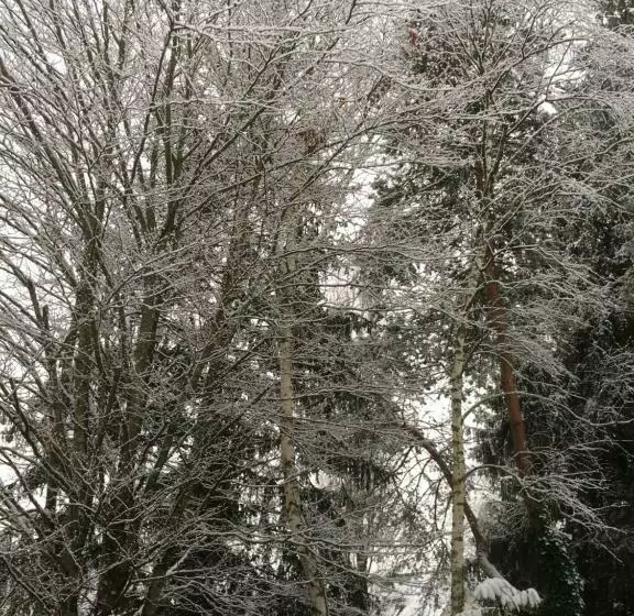 ペンション Maison D’hôtes