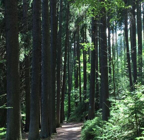 Pension Dita Adršpach