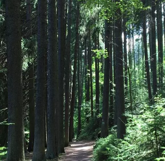 Pension Dita   Adršpach