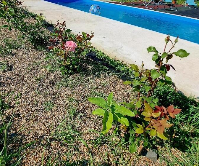 Nocleg ze śniadaniem Csodarét Kúria