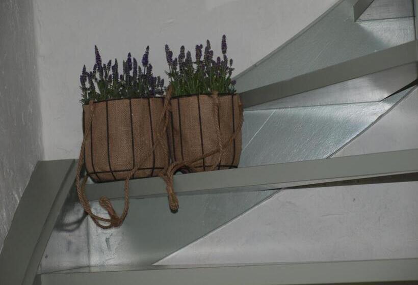 צימר De Hoefstal 1765