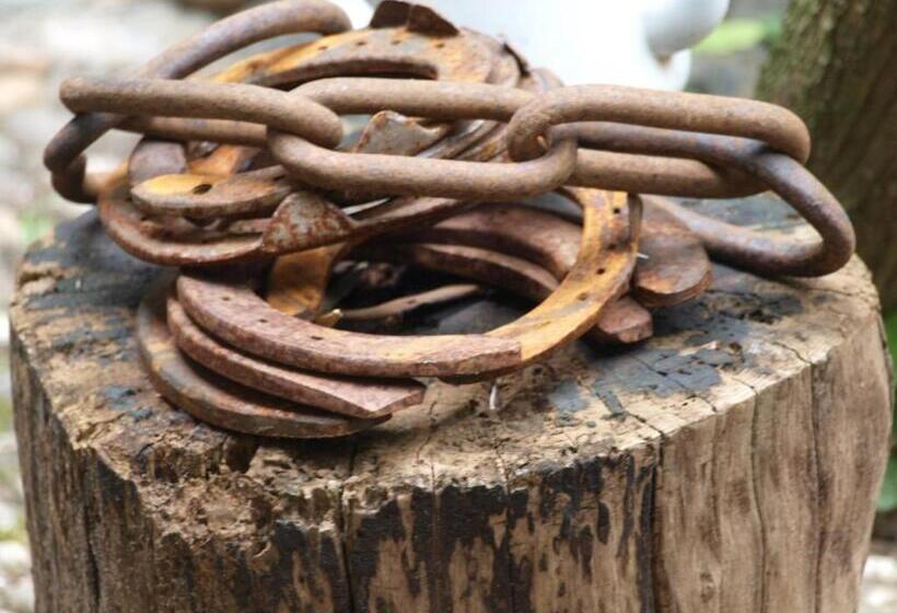 צימר De Hoefstal 1765