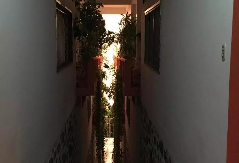 Bungalows Pacíficos