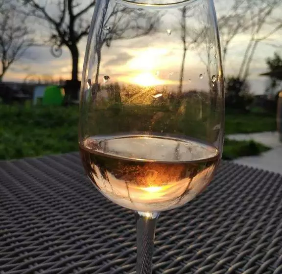 پانسیون 299 Bigaroux