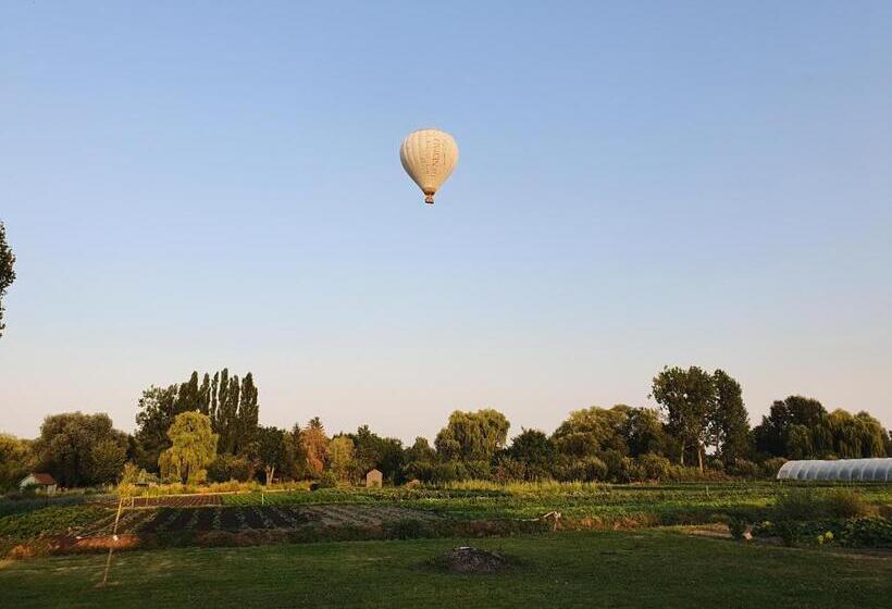 Pensjonat Au Jardin Sur L Eau Hortillonnages