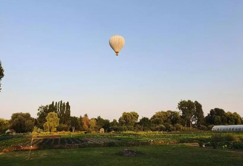 پانسیون Au Jardin Sur L Eau Hortillonnages